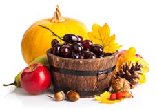 Autumnal harvest fruit and vegetables stock photo Autumnal harvest fruit and vegetables stock photo