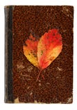 Autumnal Still Life - Vanitas Concept