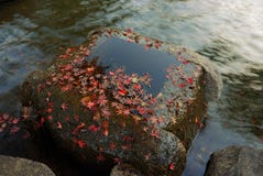 Autumnal Zen Stock Image Autumnal Zen Stock Image