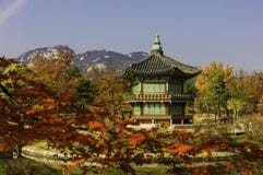 Autumnof Gyeongbokgung slott i Seoul, Sydkorea arkivfoton Autumnof Gyeongbokgung slott i Seoul, Sydkorea arkivfoton