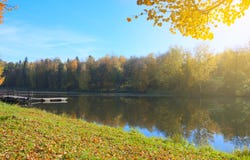 Autumntime Τοπίο με τα δέντρα με το πορτοκαλί φύλλωμα στοκ φωτογραφίες με δικαίωμα ελεύθερης χρήσης Autumntime Τοπίο με τα δέντρα με το πορτοκαλί φύλλωμα στοκ φωτογραφίες με δικαίωμα ελεύθερης χρήσης