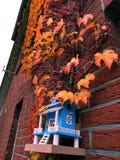 Autunno, cielo, foglie, l'autunno tardo, casa Aviario, parete delle foglie della casa fotografia stock Autunno, cielo, foglie, l'autunno tardo, casa Aviario, parete delle foglie della casa fotografia stock