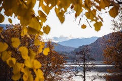 Autunno giallo delle foglie nel lago Bled in Slovenia in vista dell'isola fotografia stock Autunno giallo delle foglie nel lago Bled in Slovenia in vista dell'isola fotografia stock