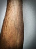Avambraccio maschio immagini stock libere da diritti Avambraccio maschio immagini stock libere da diritti