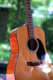 Avant de Guitarlist images stock Avant de Guitarlist images stock