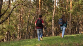 Avelsdjuret med en hund och en vuxen dotter g?r Familjen reser med en hund i tr?na Handelsresande farsa, dotter lager videofilmer Avelsdjuret med en hund och en vuxen dotter g?r Familjen reser med en hund i tr?na Handelsresande farsa, dotter lager videofilmer