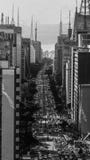 Avenida Sao Paulo de Brasil Paulista branco e preto foto de stock Avenida Sao Paulo de Brasil Paulista branco e preto foto de stock