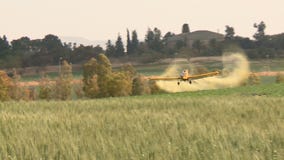 Aviones Aviones amarillos de la agricultura, plumero de la cosecha con el sonido metrajes Aviones Aviones amarillos de la agricultura, plumero de la cosecha con el sonido metrajes