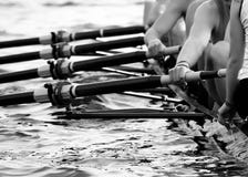 Aviron avec le barreur dans le premier plan photographie stock libre de droits Aviron avec le barreur dans le premier plan photographie stock libre de droits