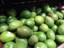 Avocados from the daily harvest are sold at the supermarket royalty free stock photos Avocados from the daily harvest are sold at the supermarket royalty free stock photos