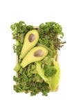 Avocado and mix of green salad stock images Avocado and mix of green salad stock images