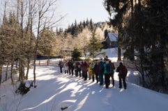 Avventure di inverno Aumento nella foresta Carpathians l'ucraina fotografie stock Avventure di inverno Aumento nella foresta Carpathians l'ucraina fotografie stock