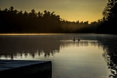 Aylmer Ontario Kanada: Quellwasser-Naturschutzgebiet: Am 2. April 2017: Zwei Gans-Schwimmen herein zu The Sun-Aufstieg auf einem stockbilder Aylmer Ontario Kanada: Quellwasser-Naturschutzgebiet: Am 2. April 2017: Zwei Gans-Schwimmen herein zu The Sun-Aufstieg auf einem stockbilder