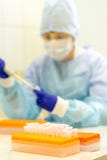 Ayudante de laboratorio con una pipeta en sus manos para la prueba de la sangre Frascos para el análisis de la sangre en el sopor imágenes de archivo libres de regalías Ayudante de laboratorio con una pipeta en sus manos para la prueba de la sangre Frascos para el análisis de la sangre en el sopor imágenes de archivo libres de regalías