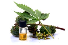 Ayurvedic Drogeflasche lizenzfreies stockbild Ayurvedic Drogeflasche lizenzfreies stockbild