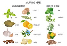 Ayurvedic warming and cooling herbs banner royalty free illustration Ayurvedic warming and cooling herbs banner royalty free illustration