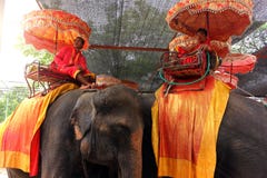 Ayutthaya, Tailandia - 29 aprile 2014 Cavalieri dell'elefante che prendono un resto al palazzo degli elefanti immagini stock libere da diritti Ayutthaya, Tailandia - 29 aprile 2014 Cavalieri dell'elefante che prendono un resto al palazzo degli elefanti immagini stock libere da diritti
