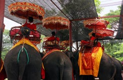 Ayutthaya, Ταϊλάνδη - 29 Απριλίου 2014 Ομάδα ελεφάντων που χρησιμοποιούνται για τους γύρους επίσκεψης στοκ φωτογραφία με δικαίωμα ελεύθερης χρήσης Ayutthaya, Ταϊλάνδη - 29 Απριλίου 2014 Ομάδα ελεφάντων που χρησιμοποιούνται για τους γύρους επίσκεψης στοκ φωτογραφία με δικαίωμα ελεύθερης χρήσης
