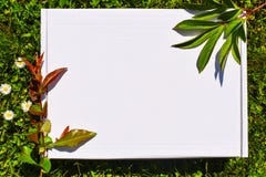 Azione disegnate photograpjy, archivio digitale del modello Quadrato in bianco per l'opera d'arte con il fondo dei fiori bianchi immagine stock libera da diritti Azione disegnate photograpjy, archivio digitale del modello Quadrato in bianco per l'opera d'arte con il fondo dei fiori bianchi immagine stock libera da diritti
