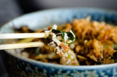 Azjatyccy ryż z wieprzowiną, Błądzą pieczarki, napy kapusta, kiszeni bambusowi krótkopędy, szpinak, Teriyaki, słodki chili kumber Zdjęcia Stock Azjatyccy ryż z wieprzowiną, Błądzą pieczarki, napy kapusta, kiszeni bambusowi krótkopędy, szpinak, Teriyaki, słodki chili kumber Zdjęcia Stock