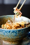 Azjatyccy ryż z wieprzowiną, Błądzą pieczarki, napy kapusta, kiszeni bambusowi krótkopędy, szpinak, Teriyaki, słodki chili kumber Obraz Royalty Free Azjatyccy ryż z wieprzowiną, Błądzą pieczarki, napy kapusta, kiszeni bambusowi krótkopędy, szpinak, Teriyaki, słodki chili kumber Obraz Royalty Free