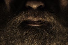 Baard stock fotografie Baard stock fotografie