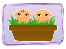 Babies In A Pot Royalty Free Stock Photography