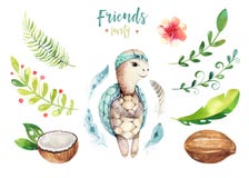 Baby animals nursery isolated illustration for children. Watercolor boho tropical drawing, child cute tropic turtle Royalty Free Stock Images Baby animals nursery isolated illustration for children. Watercolor boho tropical drawing, child cute tropic turtle Royalty Free Stock Images