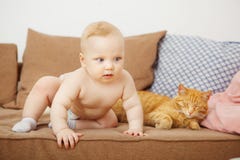 Baby and cat sits on sofa, infant allergy on feline royalty free stock photography Baby and cat sits on sofa, infant allergy on feline royalty free stock photography