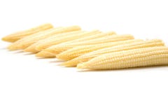 Baby Corn Royalty Free Stock Image