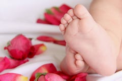 Baby Feet And Roses 2 Royalty Free Stock Image