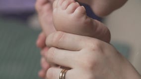 Baby feet in mother hands. Newborn baby`s feet closeup. Mom and her child