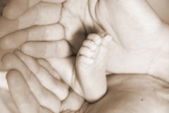 Baby Foot In Hands Stock Image