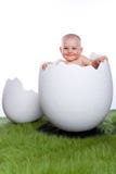 Baby Girl In Egg Stock Images