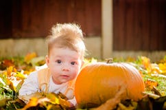 Baby Girl With Pumpkin Royalty Free Stock Photo
