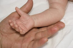 Baby Hand And Parent Arm Royalty Free Stock Images