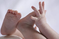 Baby Hands and Feet