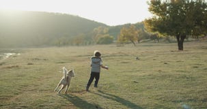Baby husky dog playing with a cute boy three years old in the middle of field , they spending a good time together stock video footage Baby husky dog playing with a cute boy three years old in the middle of field , they spending a good time together stock video footage