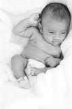 Baby In Black And White Royalty Free Stock Image