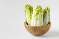 Baby Michilli Chinese Cabbage Stock Images