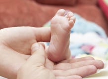 Baby S Foot Royalty Free Stock Images