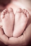 Baby S Foot In Mother Hands Royalty Free Stock Photo