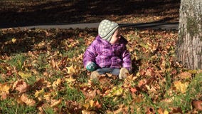 Baby sitzen zwischen trockenem Herbstlaub am sonnigen Tag des Gartens 4K stock video footage Baby sitzen zwischen trockenem Herbstlaub am sonnigen Tag des Gartens 4K stock video footage