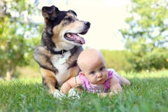 Babymeisje die buiten met Huisdierenduitse herder Dog leggen royalty-vrije stock foto Babymeisje die buiten met Huisdierenduitse herder Dog leggen royalty-vrije stock foto