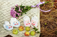 Babyschoenen voor jongen en meisje stock afbeelding Babyschoenen voor jongen en meisje stock afbeelding
