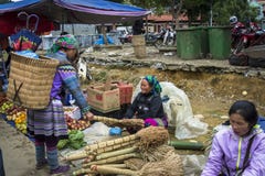 Bac Ha Sunday Market Colourful, Vietnam del Nord fotografia stock libera da diritti Bac Ha Sunday Market Colourful, Vietnam del Nord fotografia stock libera da diritti