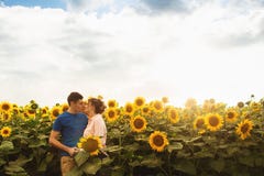 Baciare il giovane ritratto delle coppie sul giacimento dei girasoli Una storia di amore Spazio per testo fotografia stock Baciare il giovane ritratto delle coppie sul giacimento dei girasoli Una storia di amore Spazio per testo fotografia stock