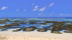 Bacias da água pouco profunda às praias dreamlike dos seychelles foto de stock Bacias da água pouco profunda às praias dreamlike dos seychelles foto de stock
