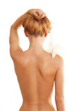 Back of nude beautiful girl with flower stock image Back of nude beautiful girl with flower stock image