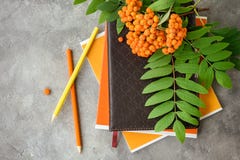 Rowan branch, notebooks, pencils. royalty free stock photography Rowan branch, notebooks, pencils. royalty free stock photography